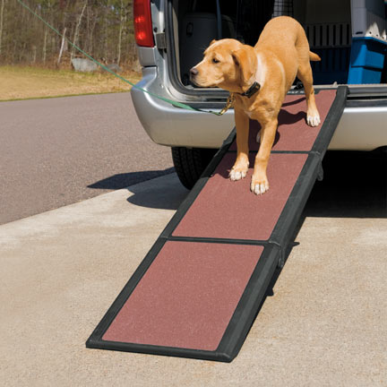 Folding dog ramp