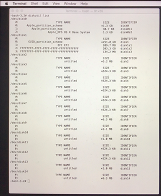 diskutil list