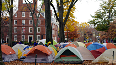 Occupied Harvard, November 15, 2011