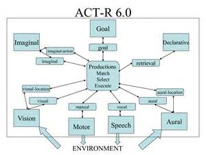 Modular representation of ACT-R's cognitive architecture