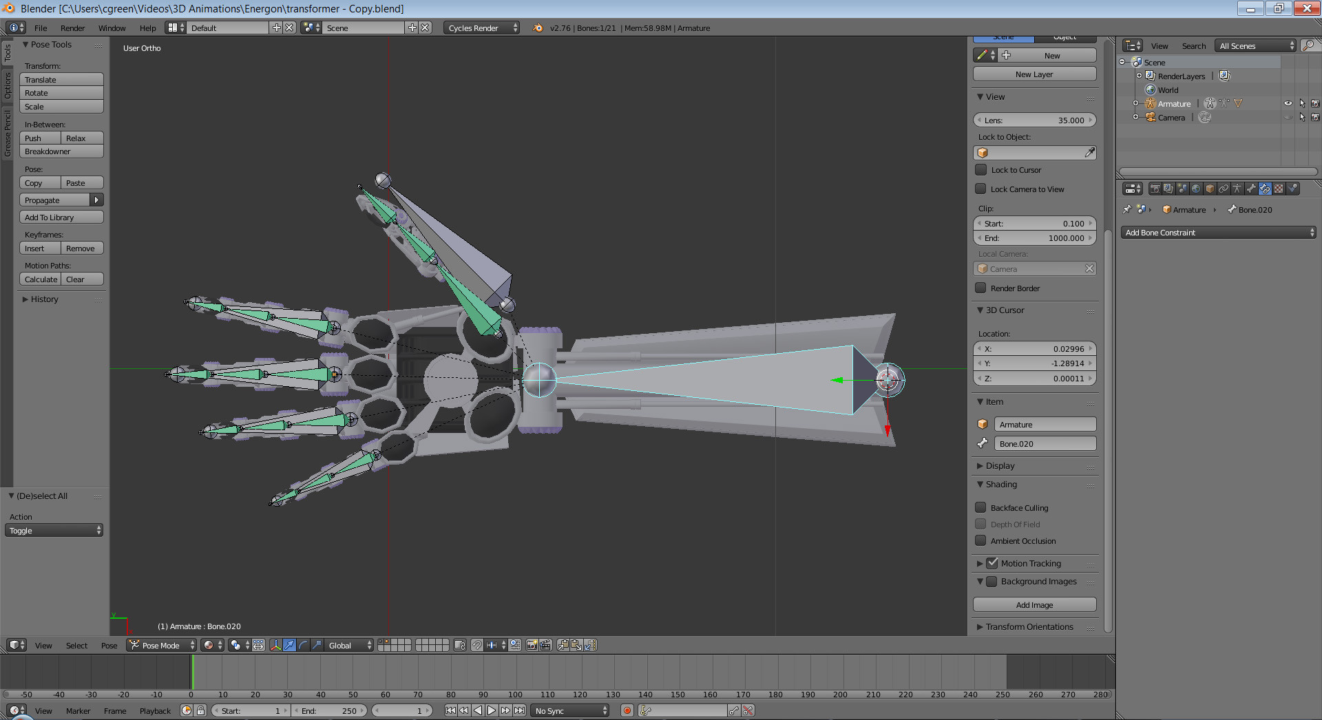 Bone Constraints panel