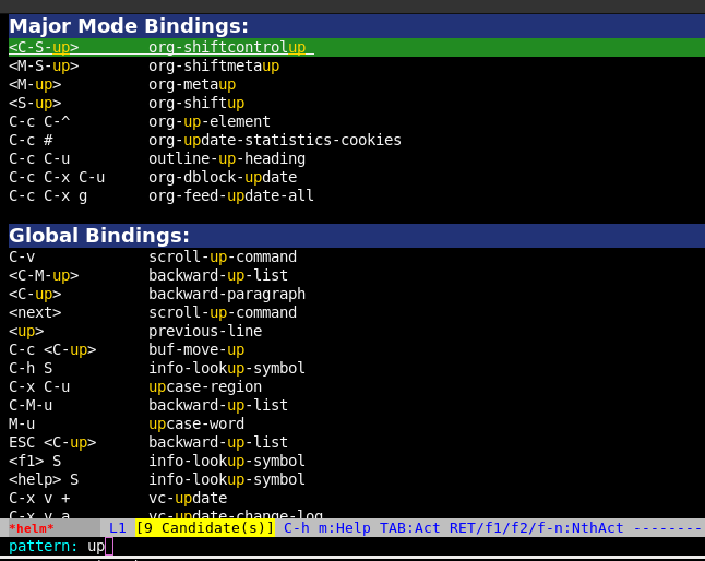 helm-descbinds in action