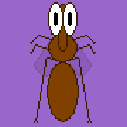 Mosquite's user avatar