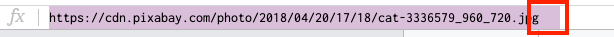 Highlighting entire URL in formula bar with extra spaces at the end circled