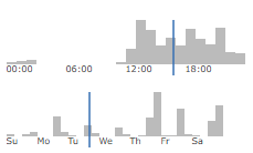 ginger's activity