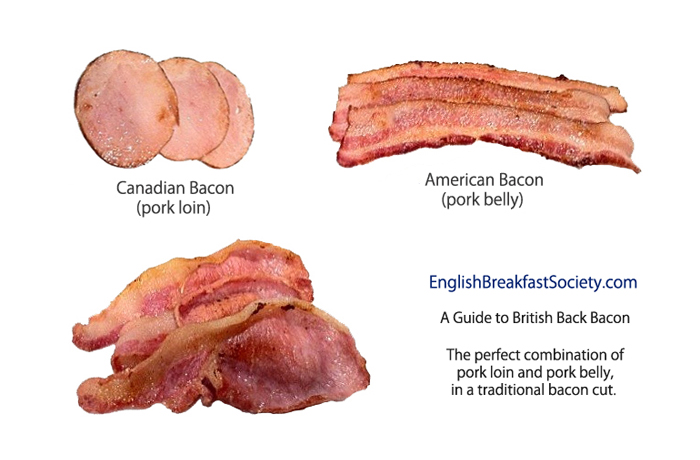 bacon bacon bacon