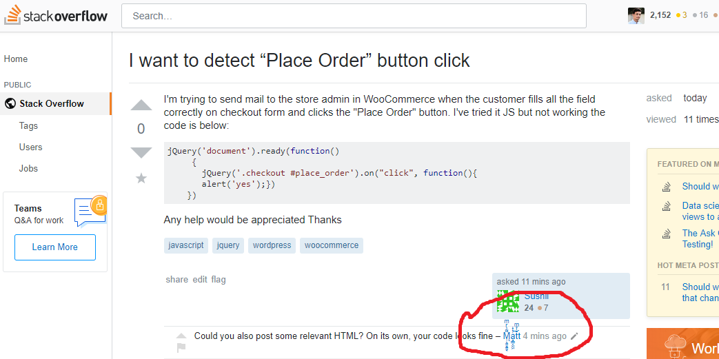 Stack Overflow post with username circled