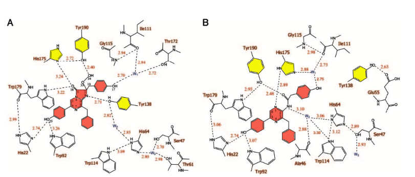 Obelin active site before and after calcium ion binding