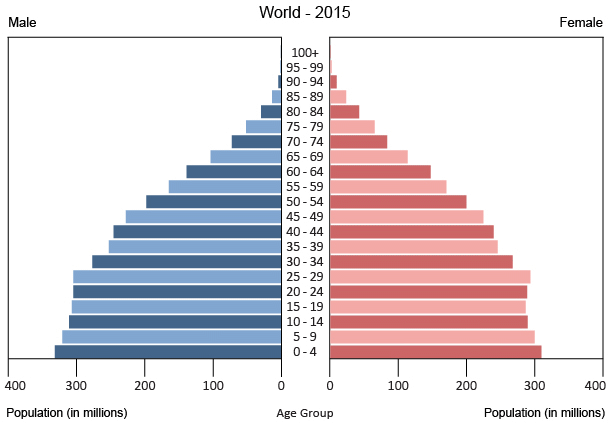 Population pyramid 2015