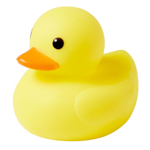 Duck's user avatar