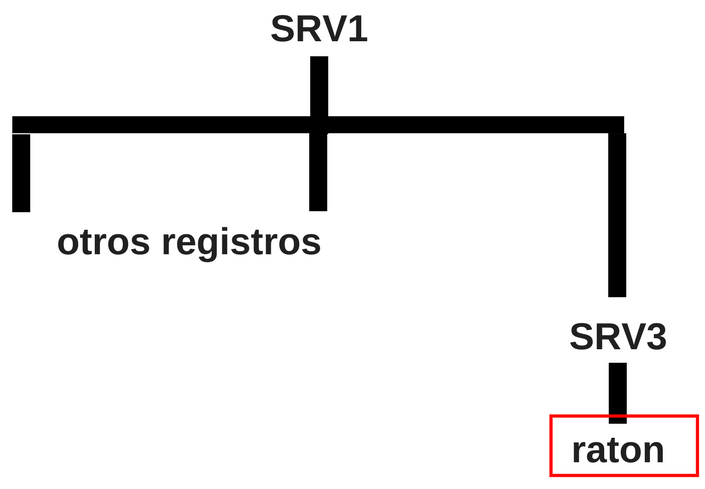 Estructura