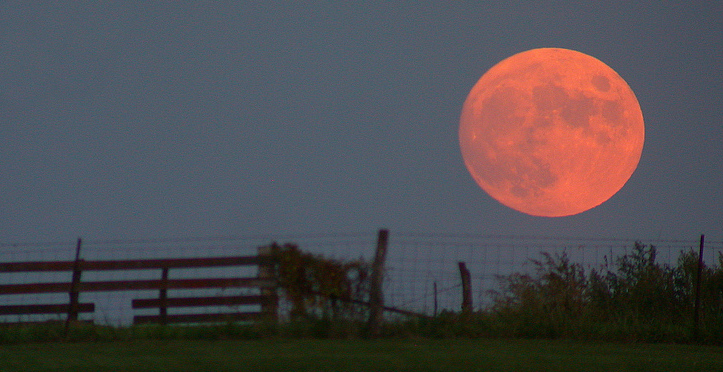 https://en.wikipedia.org/wiki/Full_moon#/media/File:Harvest_moon.jpg