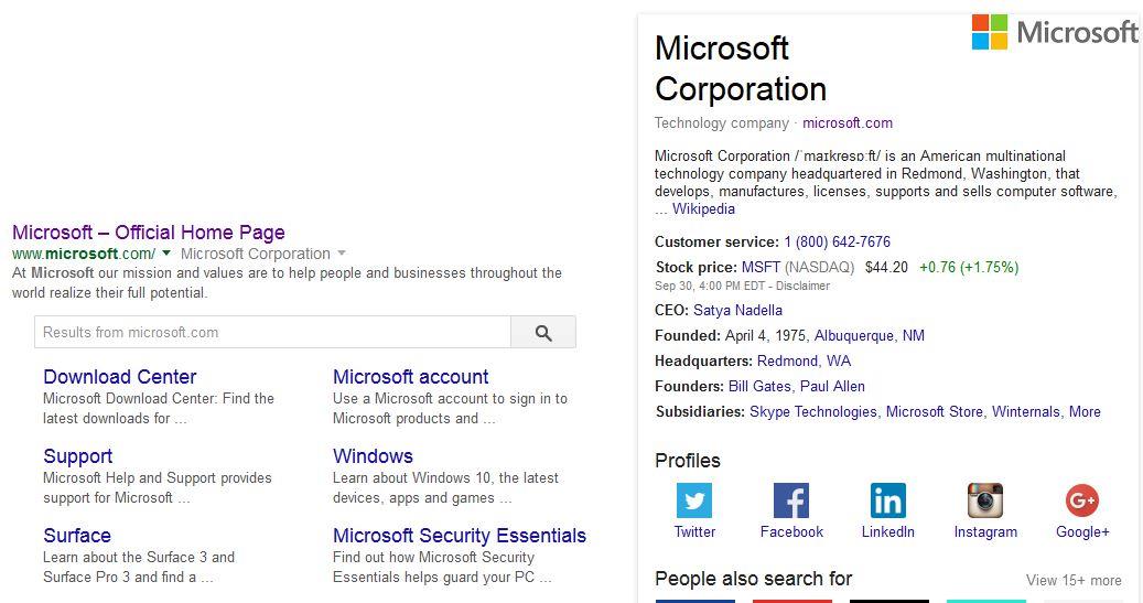 Microsoft brand search result