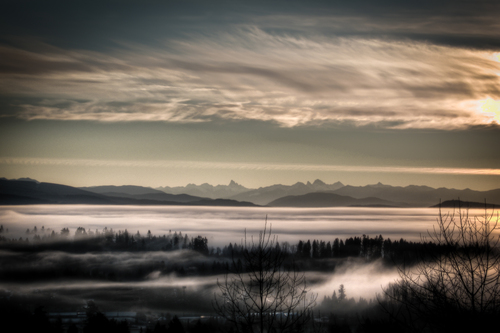 A Pillow Of Mist