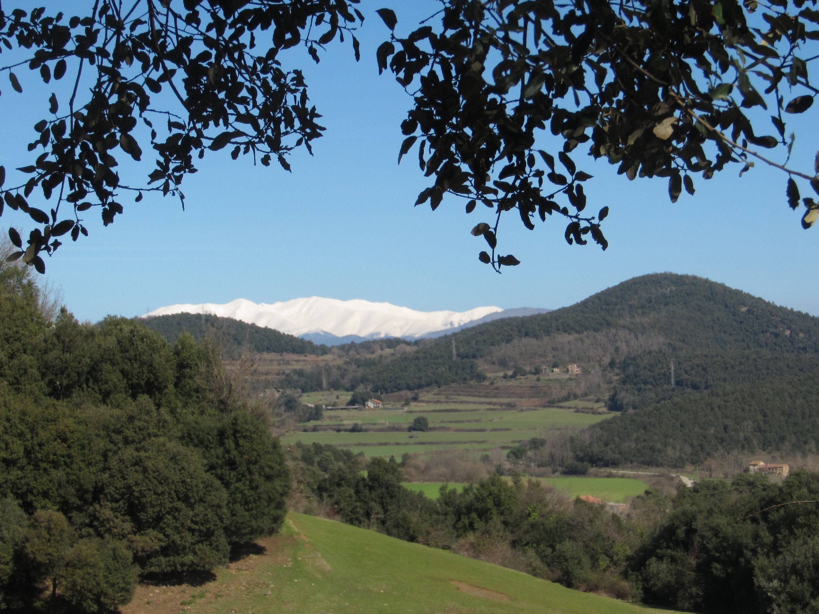 Mountains in the distance, one (likely) covered in snow.