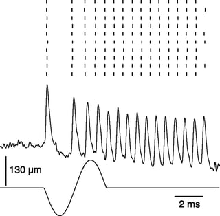 Figure 6 from Deschênes, Timofeeva and Lavallée (2003)