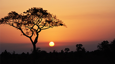 Sunset in Kruger - MrFrench