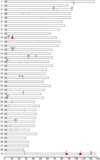 map of variation loci