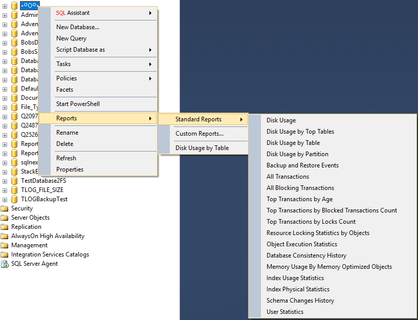 Picture showing the context menu on a database, when selecting the item Reports, then the sub-menu Standard Reports and then the sub-menu displaying the various options.