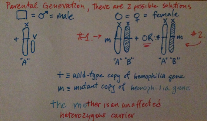 Parental Genotypes