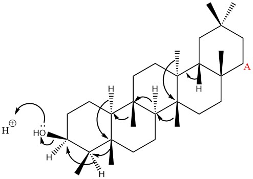 Proposed Wagner-Meerwein rearrangement