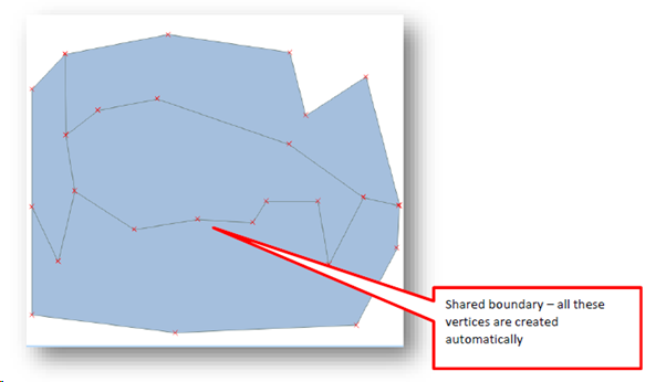 completed polygon with shared boundary[2]