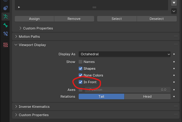 Blender Armature "In Front" Feature