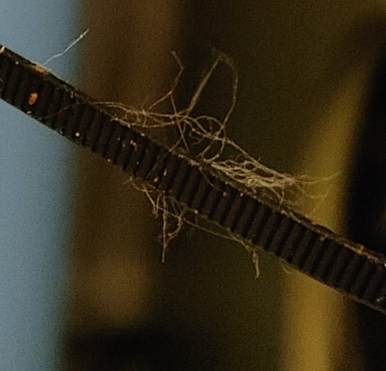 hairs on zip tie