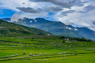 Punakha