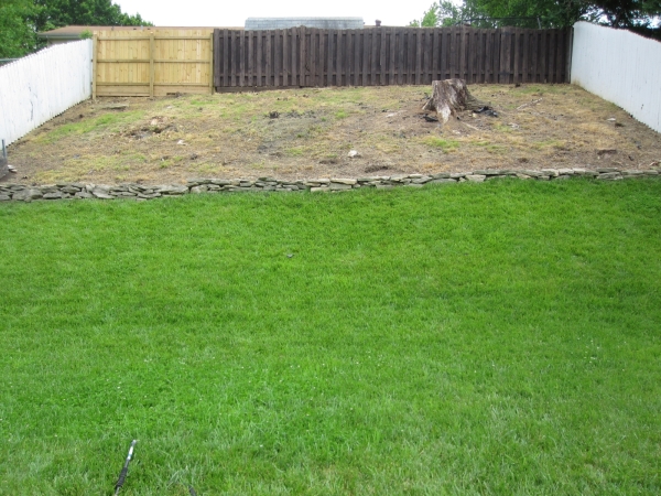 Cleared garden area