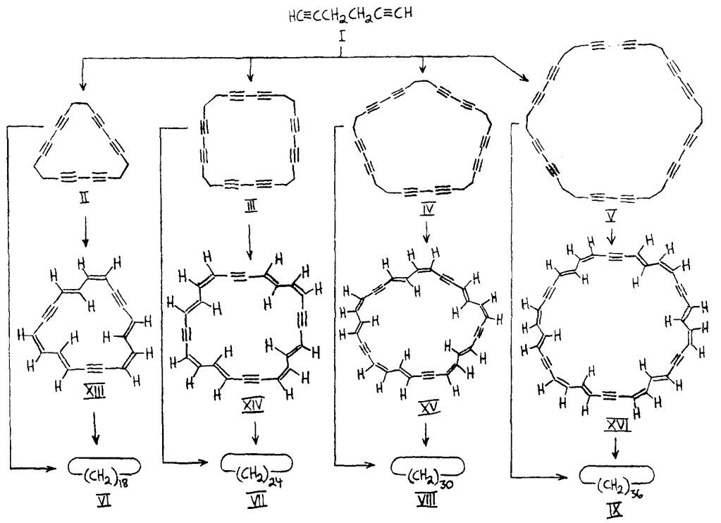 Annulene Synthsis