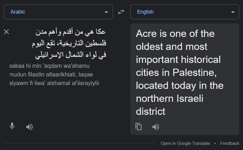 Google Translate screenshot