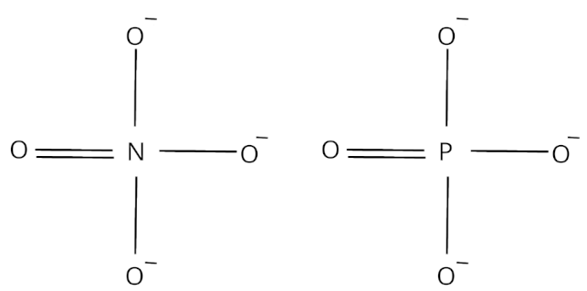 Orthonitrate ion and phosphate ion