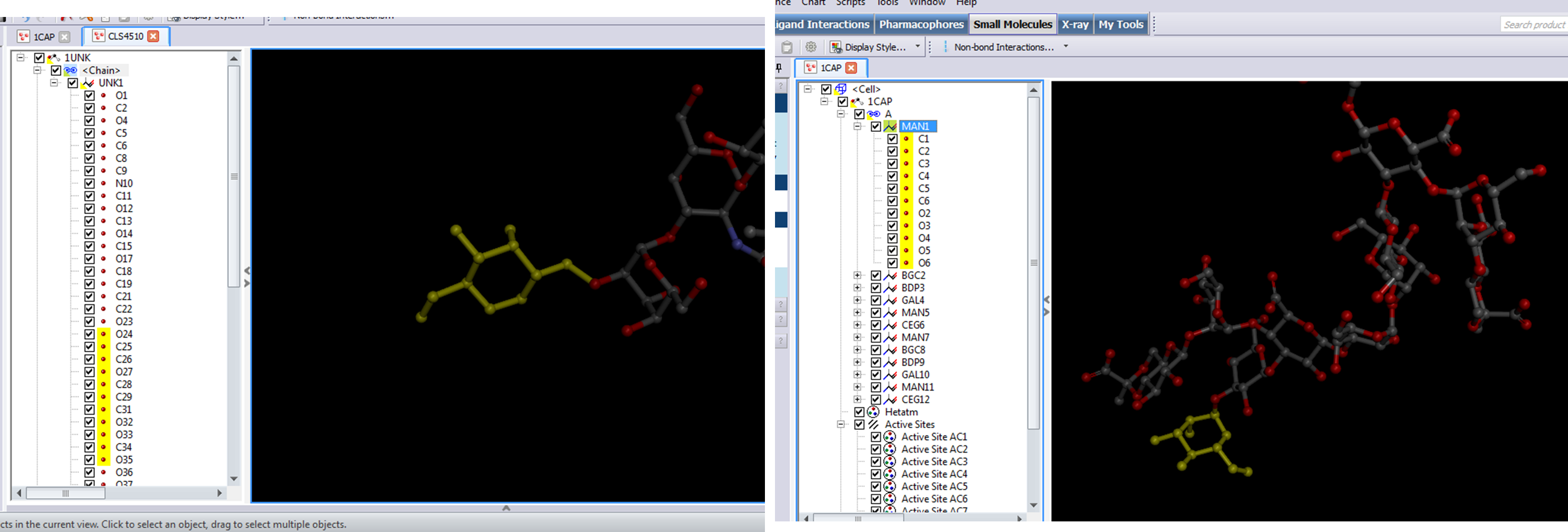 difference between my PDB and 1CAP