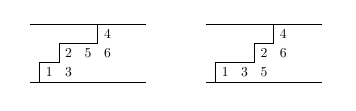 SYT with skew symmetry