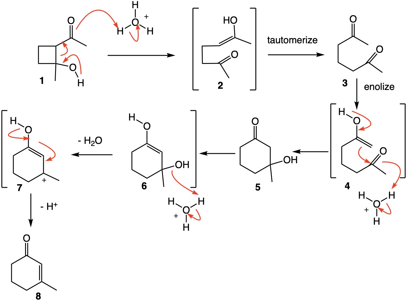 acid catalyzed aldol reaction