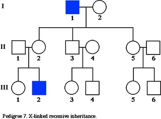 inheritance