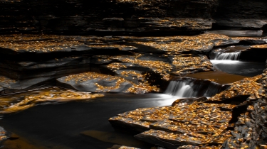 Watkins Glen