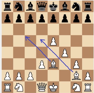 2 bishops attacking left side