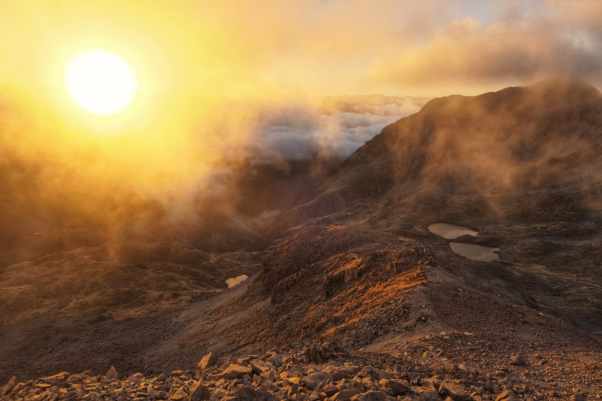 Robert Ridge, Nelson Lakes National Park