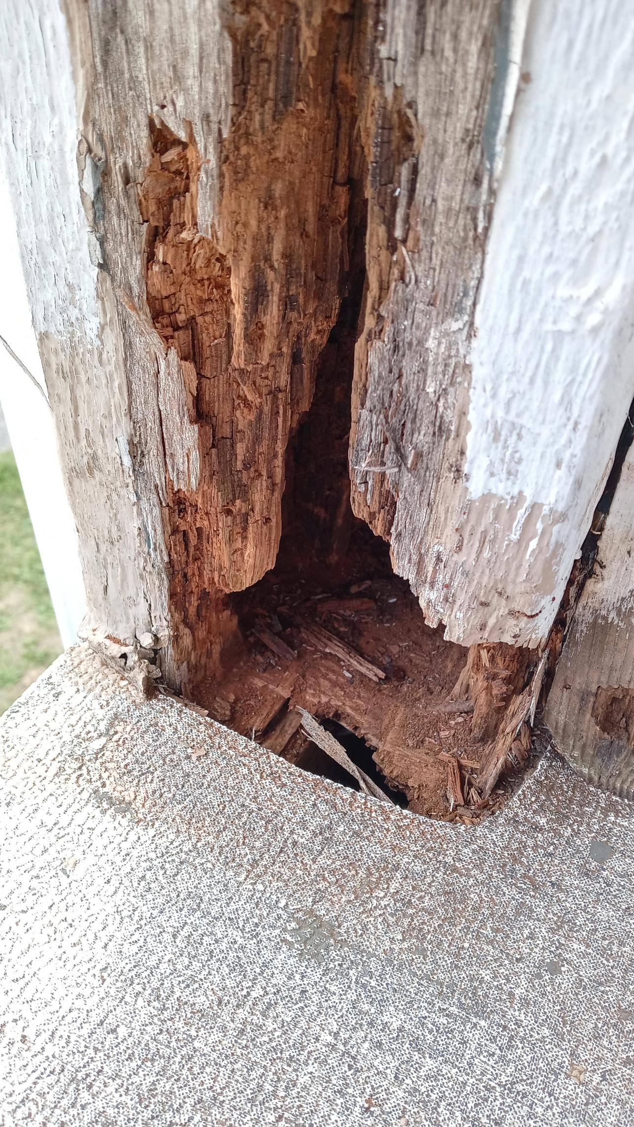 Rotten post base with rotten plywood directly under it