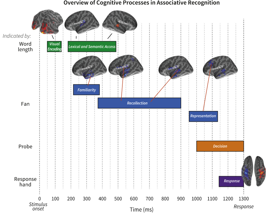 activities and time taken