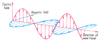 Electric and magnetic components of an EM wave