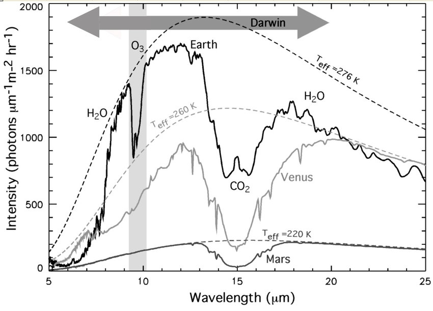 The mid-IR spectrum of the Earth, Venus and Mars at a low resolution (spectra are derived from a variety of published models including Meadows and Crisp, 1996; Tinetti et al., 2005; Tinetti et al., 2006; Kaltenegger et al., 2007; Selsis et al., 2007b).