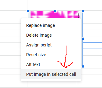 Put Image in selected Cell