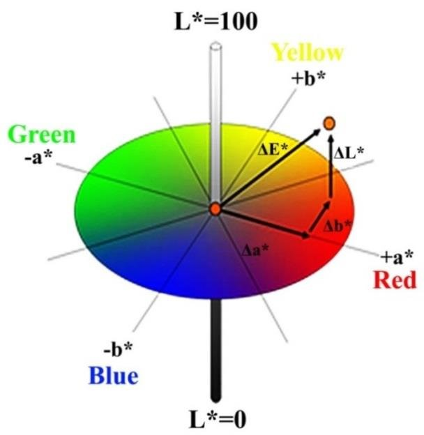 Color wheel