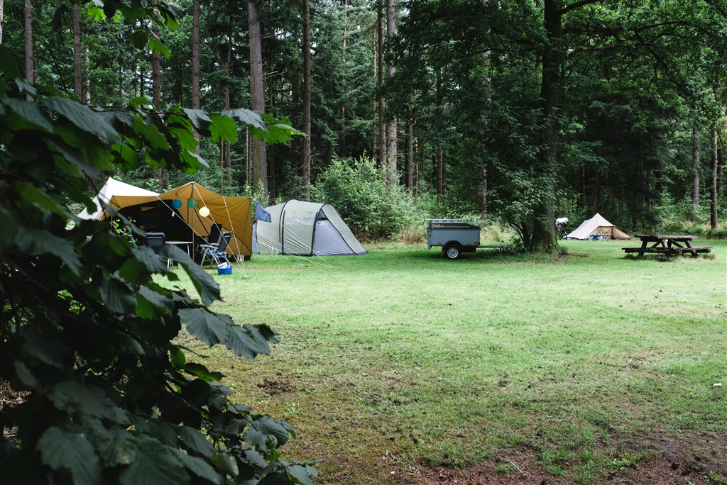 small campsite between trees