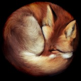 Kitsune's user avatar