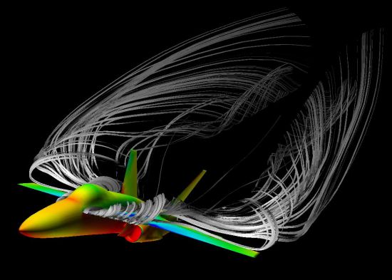 CFD simulation of high alfa flight