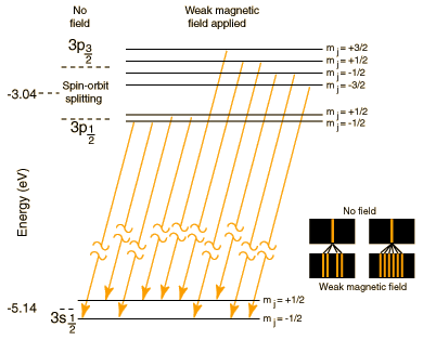 Zeeman effect in sodium